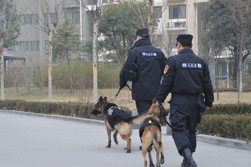 Dog defense service